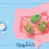 تأثير بكتيريا الأمعاء على العين