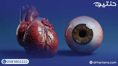 المرآة العينية العلاقة الوثيقة بين صحة القلب وسلامة الإبصار