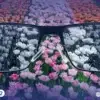 علاج عمى الألوان بالعدسات اللاصقة: تحديث 2026 والحلول المتاحة