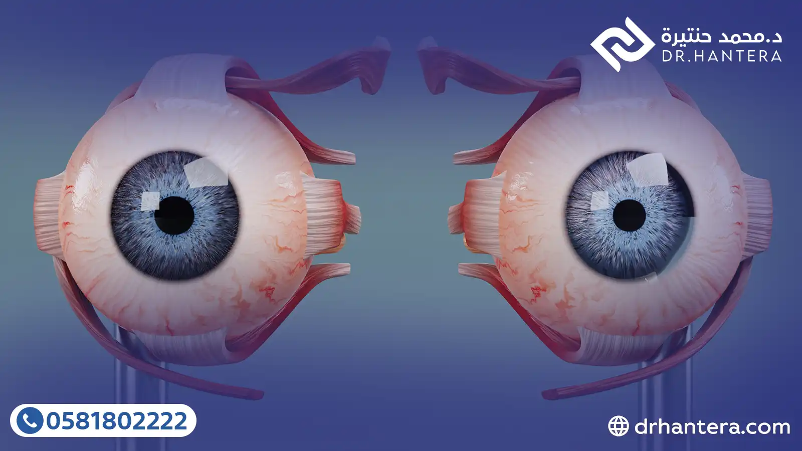 8 عضلات مذهلة تتحكم في حركة ورؤية العين مع الدكتور حنتيرة