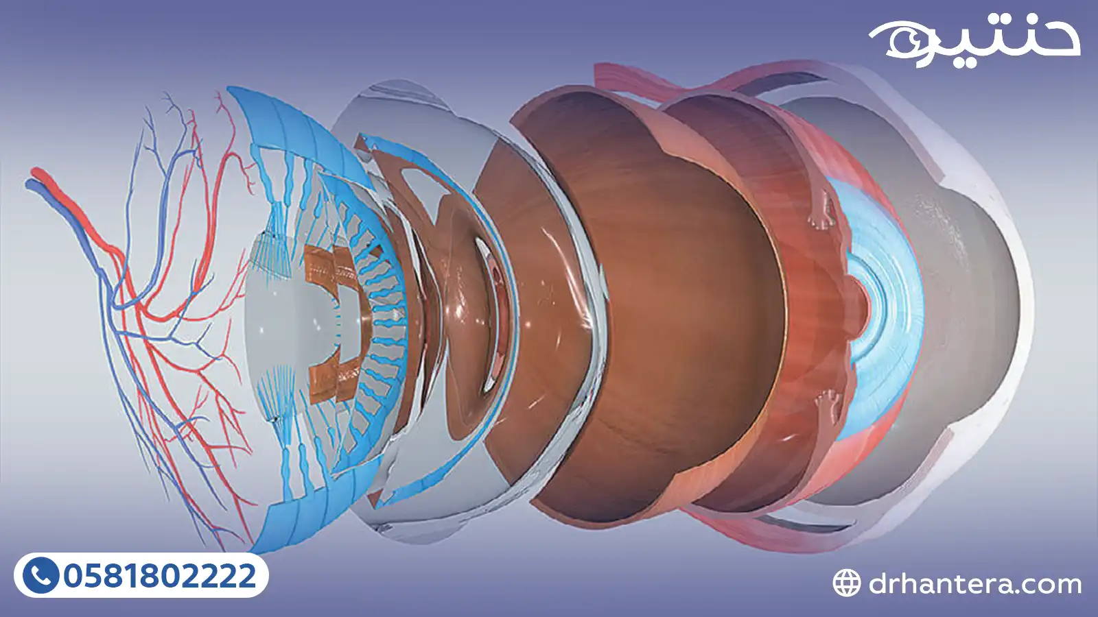 3 ألوان وإشارات تحذيرية إذا رأيتها فبادر بزيارة طبيب العيون